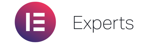 Elementor expert